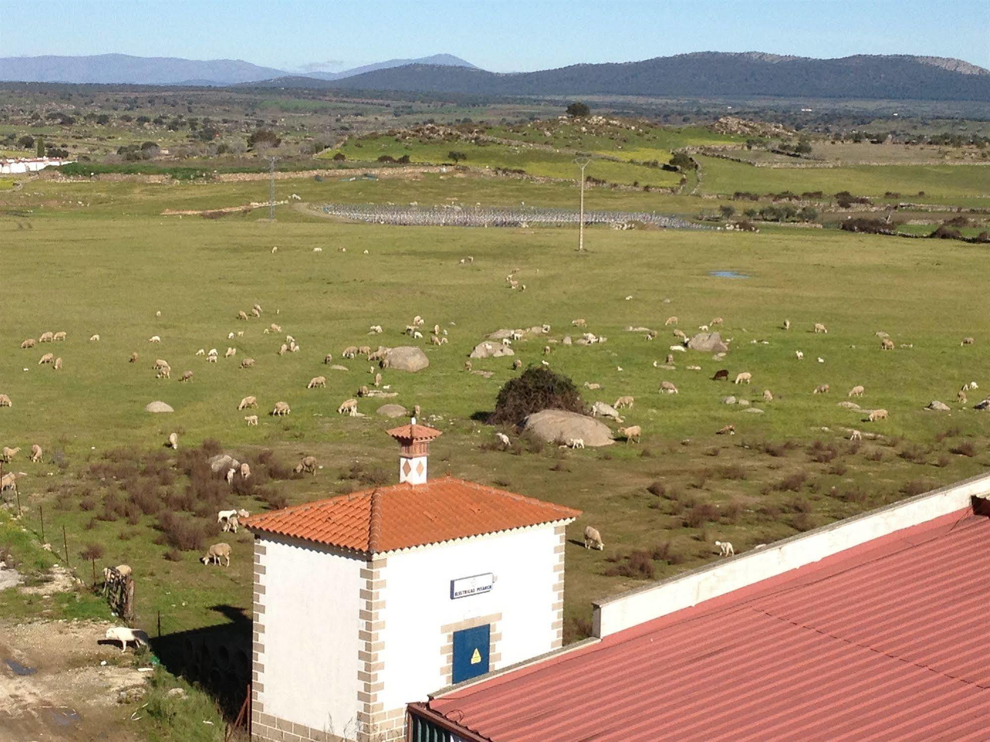 Ferienwohnung Complejo Penafiel Zarza La Mayor Exterior foto